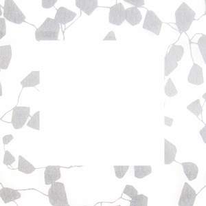 bleka blad, soft leaves